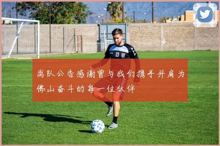 离队公告感谢曾与我们携手并肩为佛山奋斗的每一位伙伴