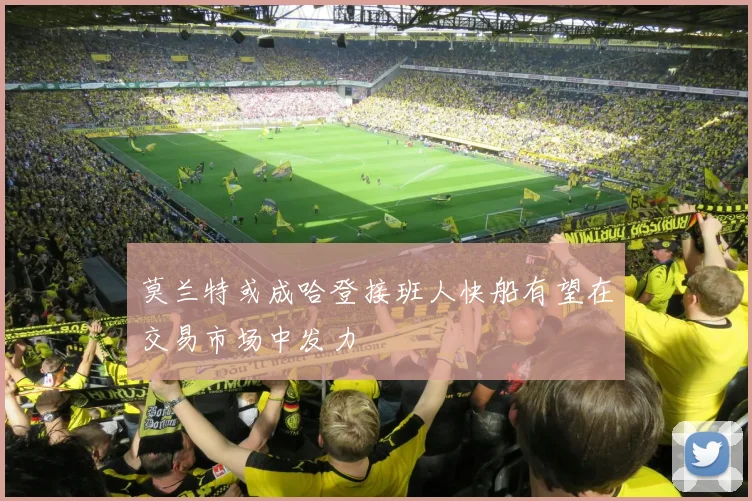 莫兰特或成哈登接班人快船有望在交易市场中发力