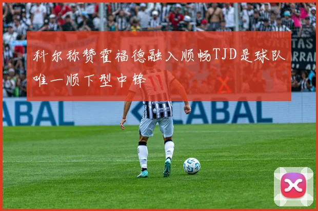 科尔称赞霍福德融入顺畅TJD是球队唯一顺下型中锋