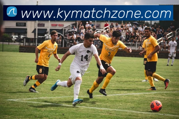 开云电竞APP 封面图